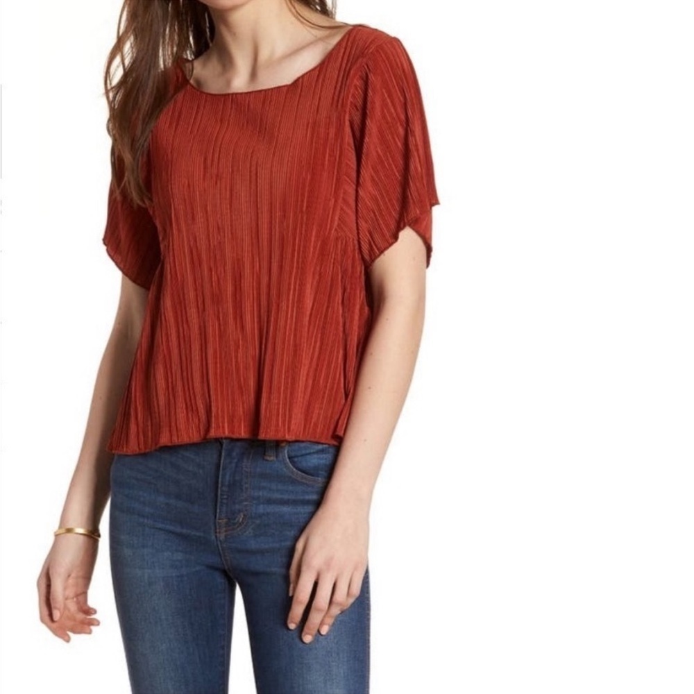 Madewell Micropleat Top In Rusty Torch